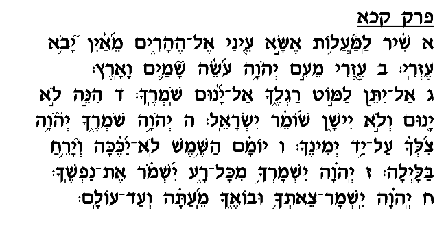 PLEASE SAY TEHILLIM NOW! BIG SURGERY TAKING PLACE RIGHT NOW