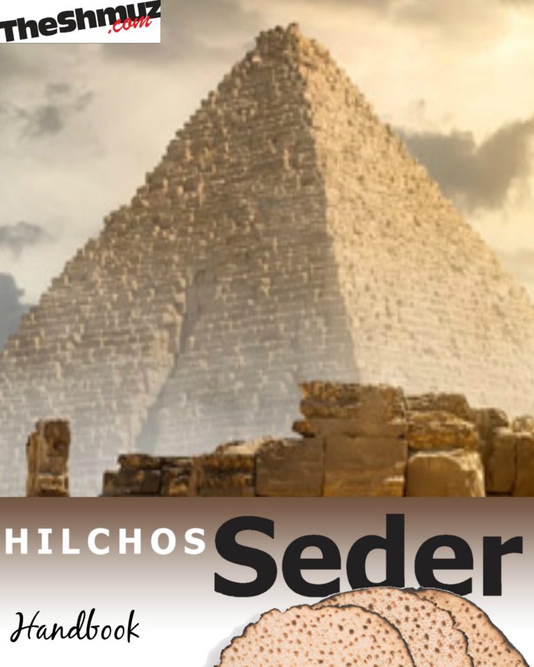 Read!:This New Guide Will Help Enhance Your Seder!