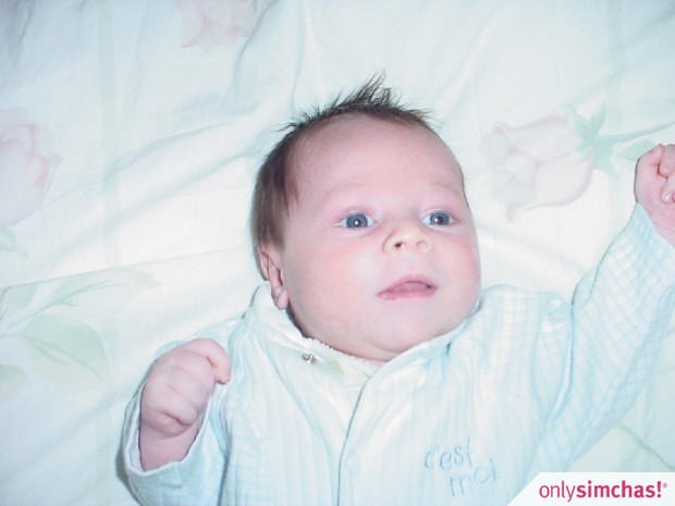 Birth  of  Baby Binyomin To:Duvid&Feigy Freier
