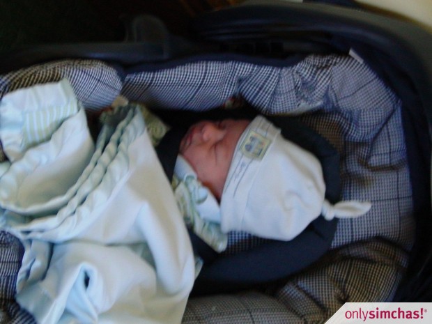 Birth  of  Baby Boy Hilbert