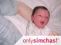 Birth  of  Baby BOY to Arthur & Michelle  (Malamut) Shaykevich