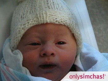 Birth  of  Baby BOY!! to Shira & Dov Ocken