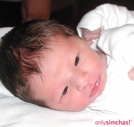 Birth  of  Baby Boy to Andrea (Snyder)  and Ari Schulman