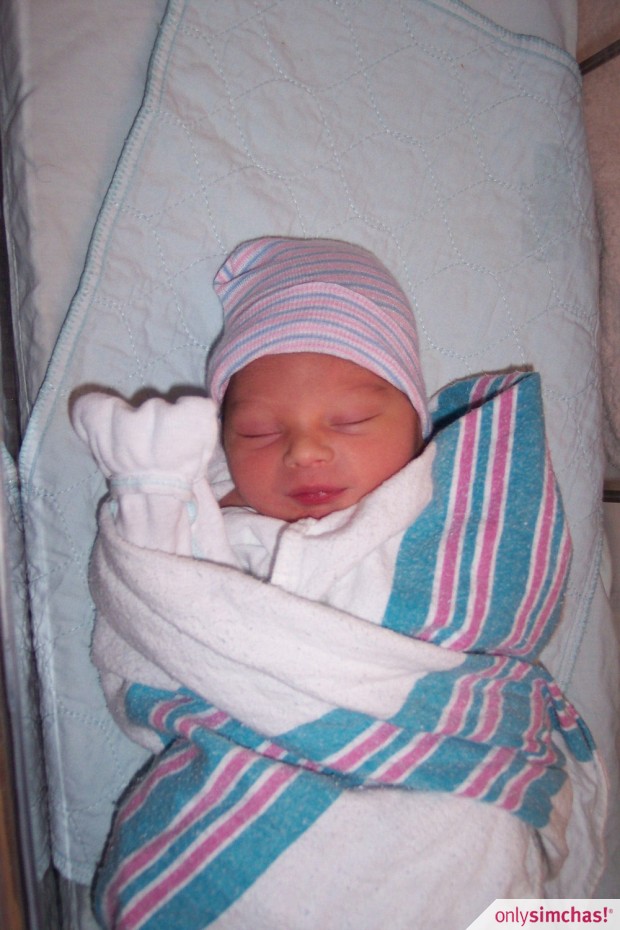 Birth  of  Baby Boy  to Tzvi & Abby Werzberger