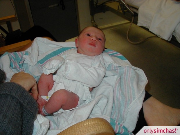 Birth  of  Baby Girl Shapiro