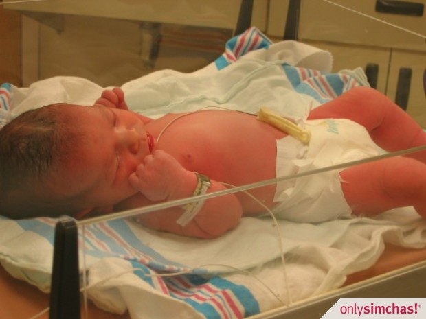 Birth  of  Baby Boy Saunders & (Dovid & Chayeh Saunders/Zylbernagel)
