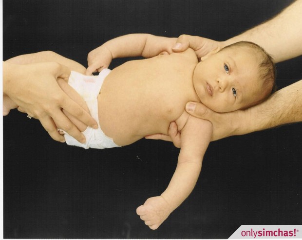 Birth  of  Baby Boy to Moshe & Shani Greenfield
