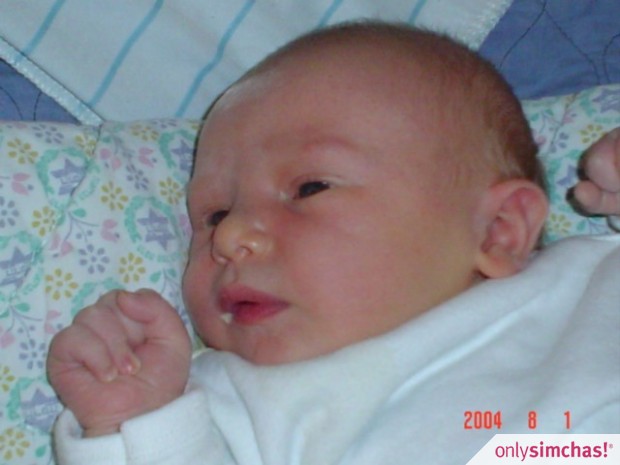 Birth  of  baby boy handler asher and miriam