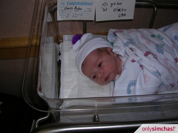 Birth  of  Baby Boy Rubin (Yehudis (Gross) & Daniel)