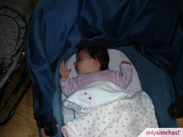 Birth  of  Baby girl to Moishe & Fridy Grunhut