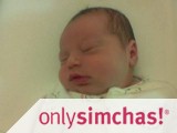 Birth  of  Baby Boy!!! to Eli and Sarah Halberstam