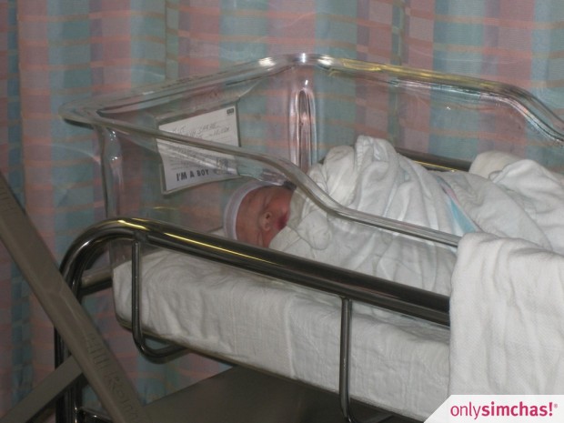 Birth  of  Baby Boy to Moshe & Suri Kut