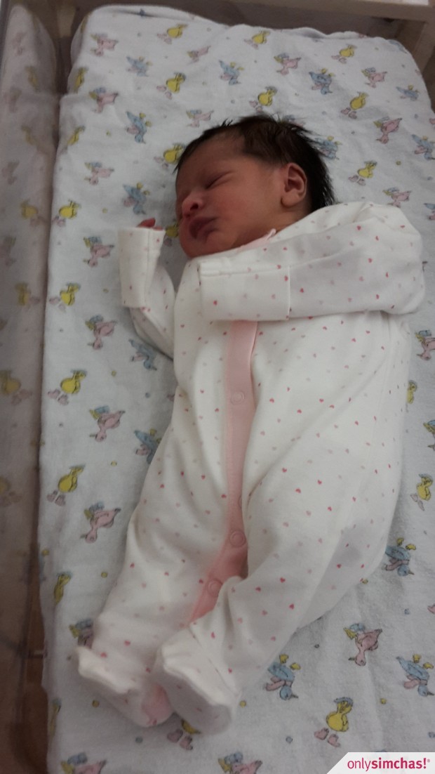 Birth  of  Baby Girl to Yossi Dahari and family
