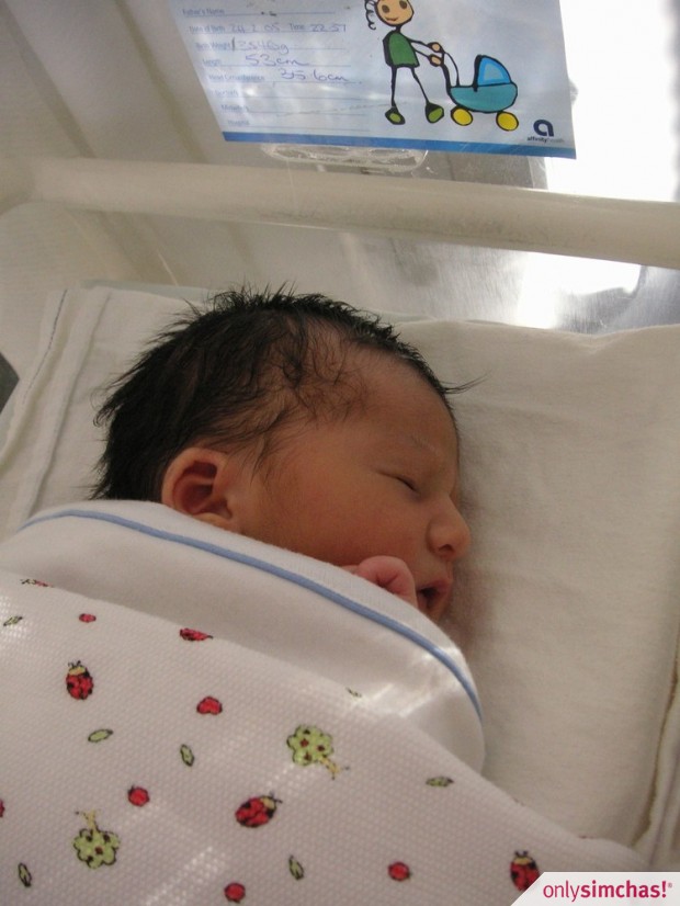 Birth  of  Baby Boy to Yanki and Devora Kingsley (Ernst)