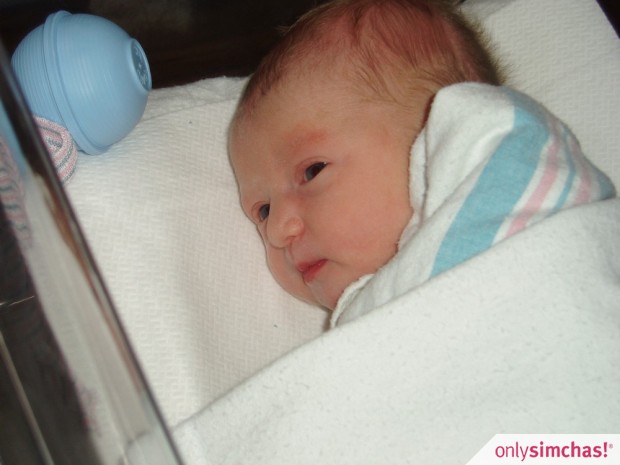 Birth  of  Baby Girl to Moshe and Michal Schochet