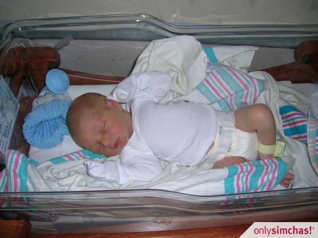 Birth  of  Baby Boy to Janna & Aryeh  Henesch