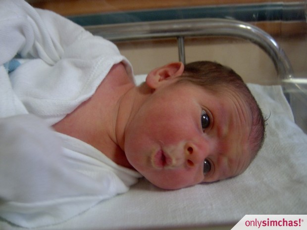 Birth  of  Twin Baby Girls to  Yossi & Matti Zweig