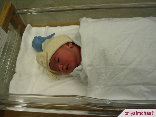 Birth  of  Baby Girl to Avi & Tikki Spodek