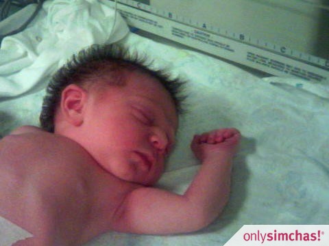 Birth  of  Baby Girl to Moshe & Shani Fromowitz