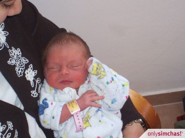 Birth  of  Baby Girl (Chava Elisheva) to Chaya and Avi Milgraum