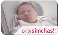 Birth  of  baby Boy Ari & Esty Lunger