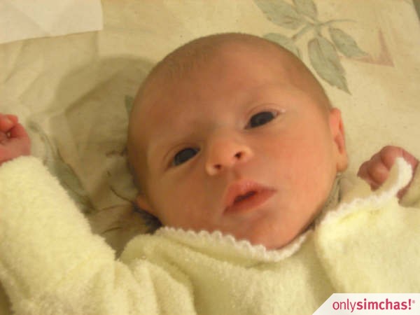 Birth  of  Baby girl to Dovid Leib & Malka Wilansky