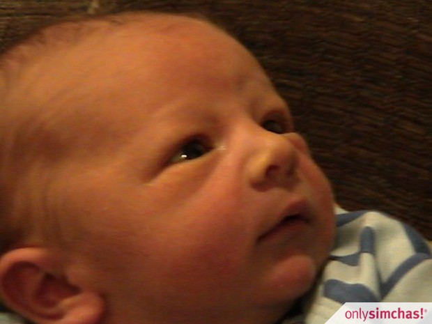 Birth  of  Baby Boy Greenfield (to Moshe & Shani)