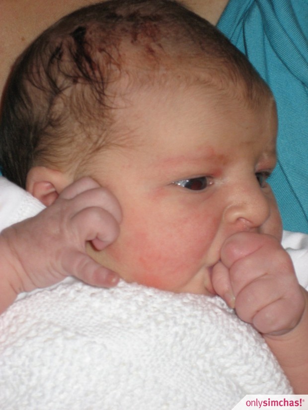 Birth  of  Eliana Yael to Michael & Sarah Solaimani