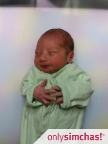 Birth  of  Baby Boy to Jason and Shimona Stein