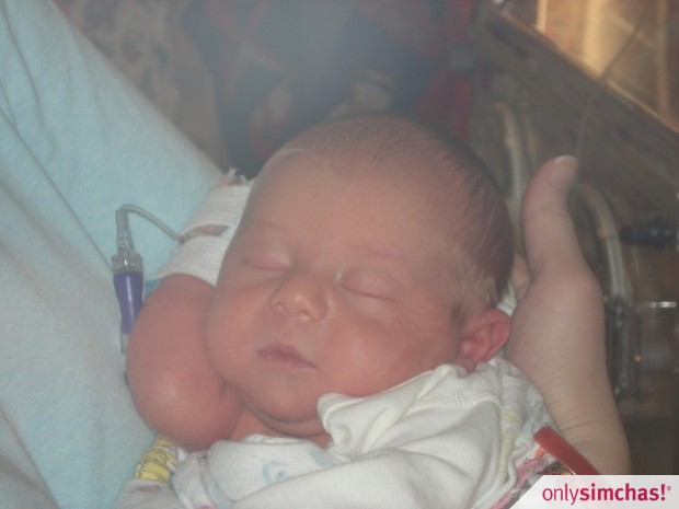 Birth  of  baby boy to Faige (Schneck) & Chaim Friedland