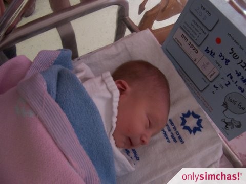 Birth  of  Baby Boy to Shira (Noe) & Dani Schijveschuurder
