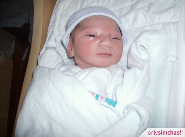 Birth  of  Baby boy to Sonya (Brystowski) and Dani Schreiber