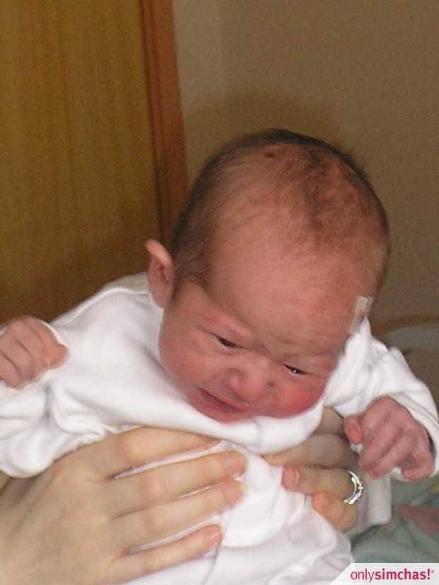 Birth  of  little prince to  shloimy&debbie(biren)warmberg