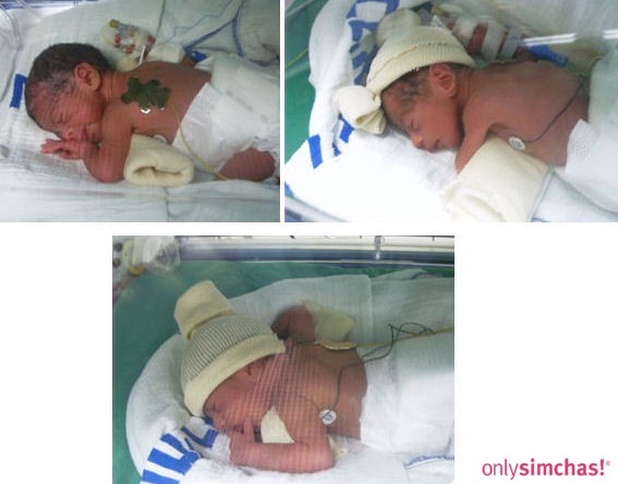 Birth  of  Triplet girls Dena&ShamirYahav Elly&Meyer Falik Grandparents