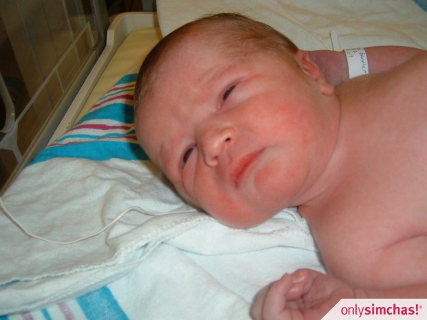 Birth  of  Baby Boy to Ari & Stacy Bandler
