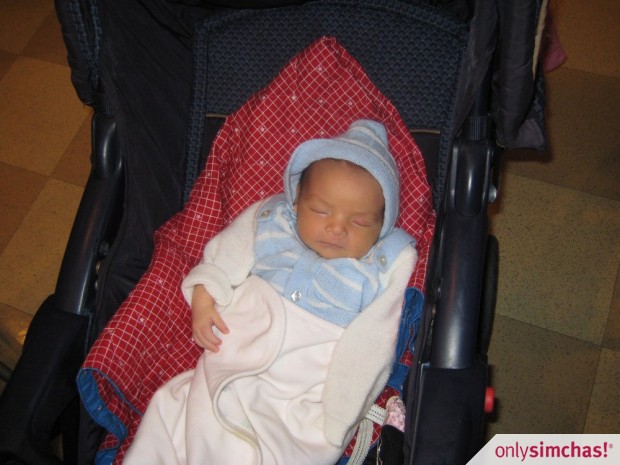 Birth  of  baby boy to Dovid and Chany Mochkin