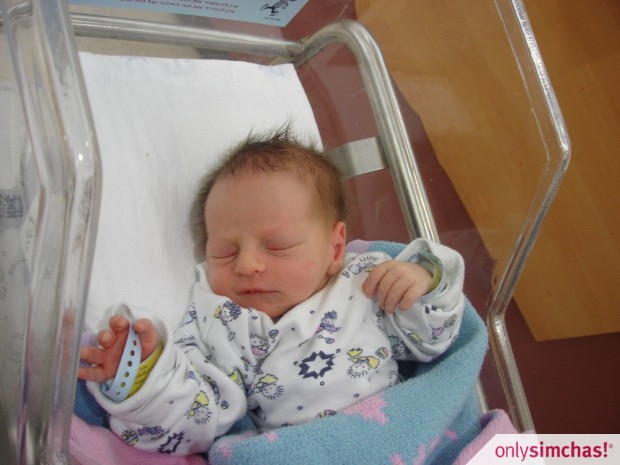 Birth  of  Baby Boy Steinherz (to Batya & Dovid)