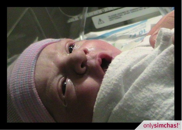 Birth  of  baby boy- Ariel and Ilana (Plotke) Steinherz