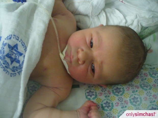 Birth  of  Baby Boy to Arony & Esty Smith (Nesher)