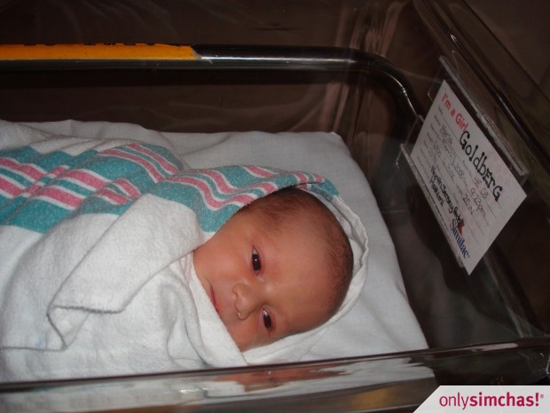 Birth  of  baby girl to  David & Malya Goldberg