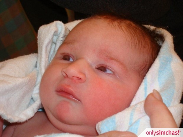 Birth  of  Baby Girl to Dalya and Moshe Rothman