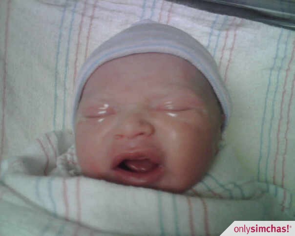 Birth  of  Baby Boy Treuhaft