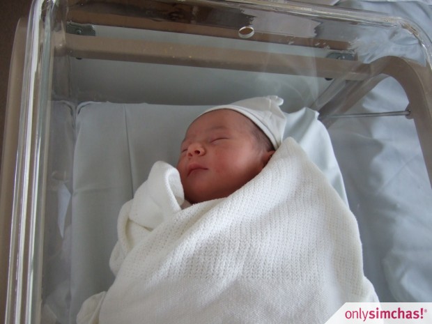 Birth  of  Baby Girl Meisner