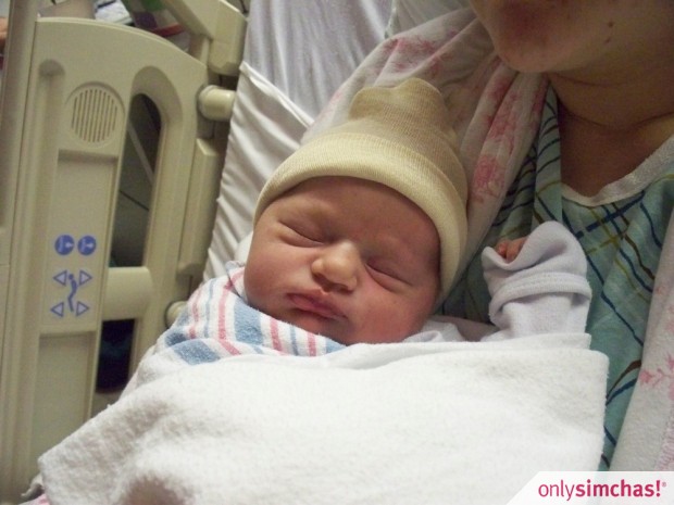Birth  of  Baby girl to Dena and Chaim Weiss