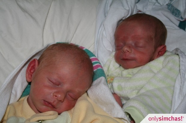 Birth  of  Twin Boys to Suri & Michoel Boruch Witonsky