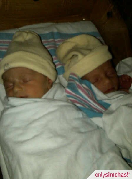 Birth  of  Twin Girls To Dovi and Sara Klein