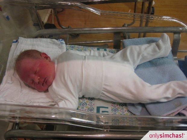 Birth  of  Gorgeous Baby Boy to Eli and Abigail Shine