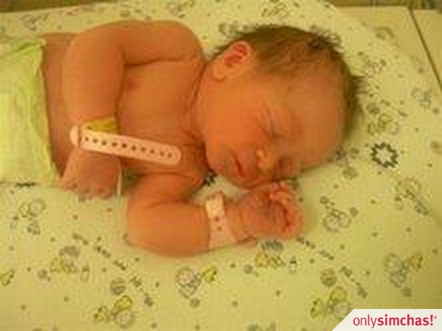 Birth  of  Adorable Prince -Ilan & Shani  Falik Roth