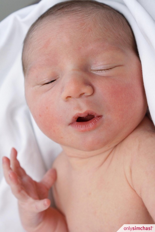 Birth  of  Baby Boy to Moshe & Pam Friedman