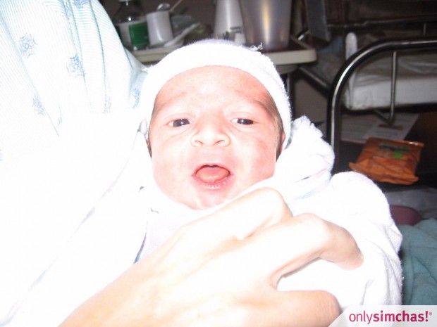 Birth  of  Baby Boy Gelber